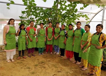 Herbal nursery training soch trust uthaan